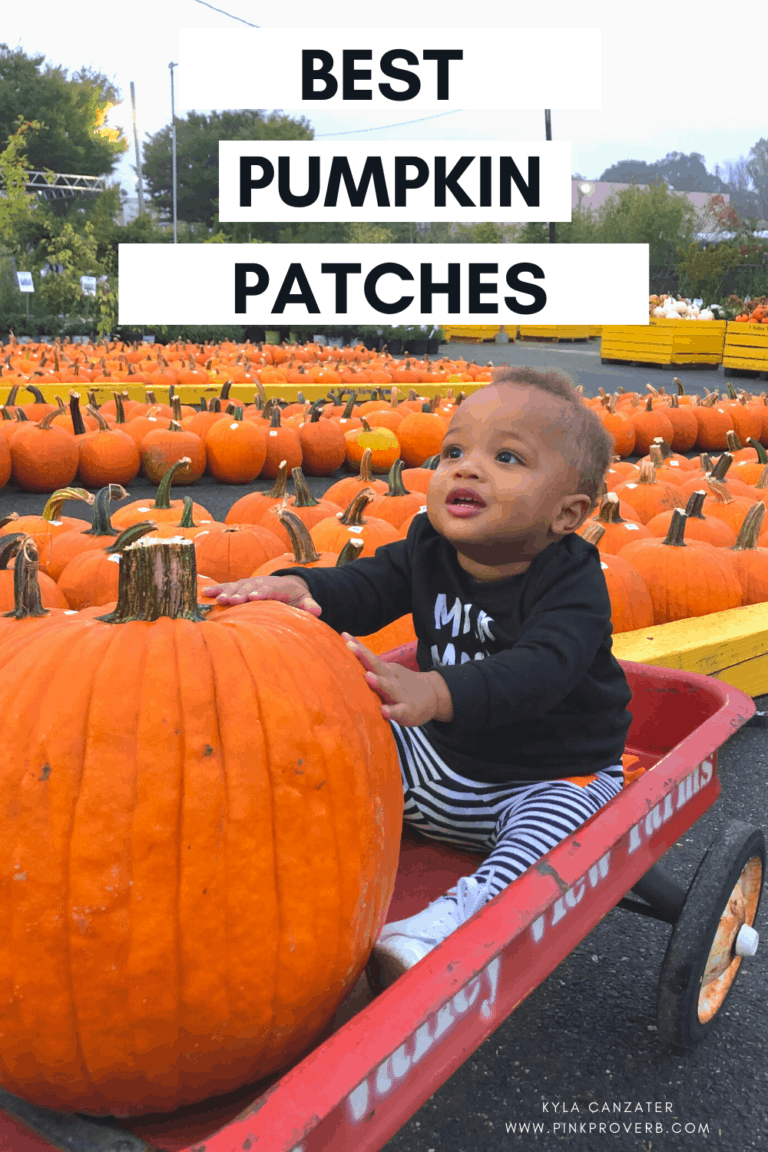 5 Best Pumpkin Patches in Maryland (2021)