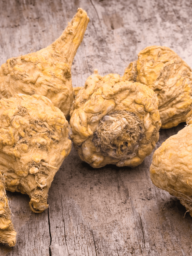Why Maca is Perfect for Libido and Fertility!!